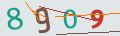 verifycode